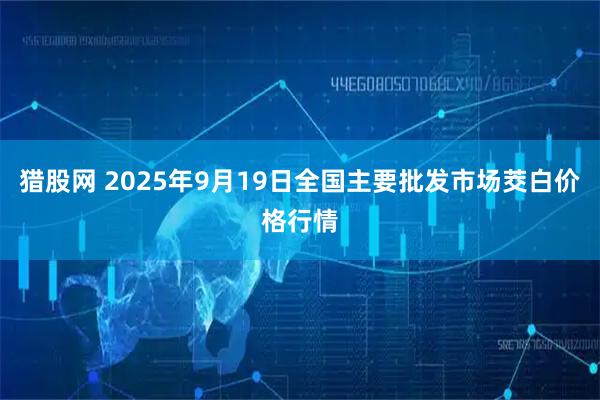 猎股网 2025年9月19日全国主要批发市场茭白价格行情