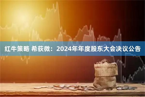 红牛策略 希荻微：2024年年度股东大会决议公告