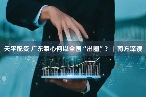 天平配资 广东菜心何以全国“出圈”？｜南方深读