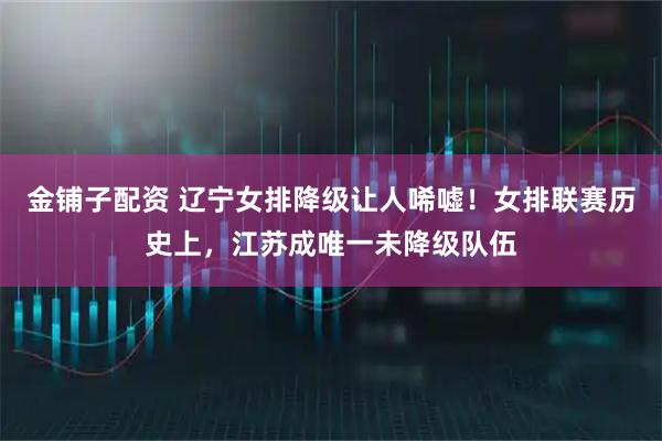 金铺子配资 辽宁女排降级让人唏嘘！女排联赛历史上，江苏成唯一未降级队伍